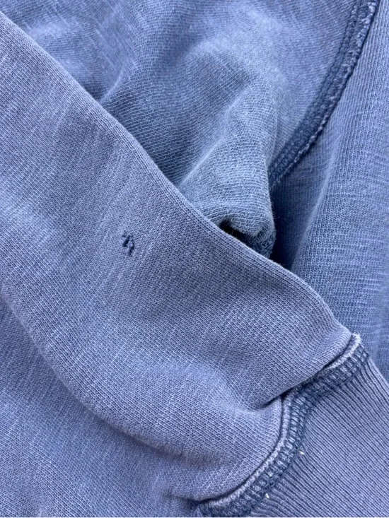 AMERICAN EAGLE Men’s Blue Pullover Hoodie Wing graphic size: Large - Picture 4 of 7